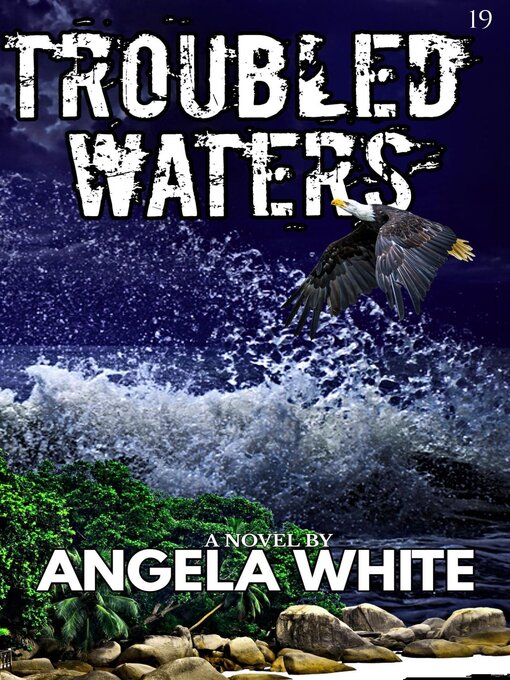 Cover image for Troubled Waters